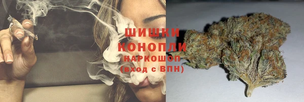 гидропоника Алзамай