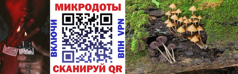 Галлюциногенные грибы ЛСД Темрюк