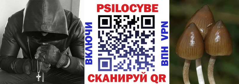 закладка  Темрюк  Галлюциногенные грибы ЛСД 